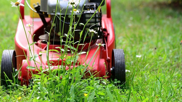 Как выбрать газонокосилку под Ваши требования?