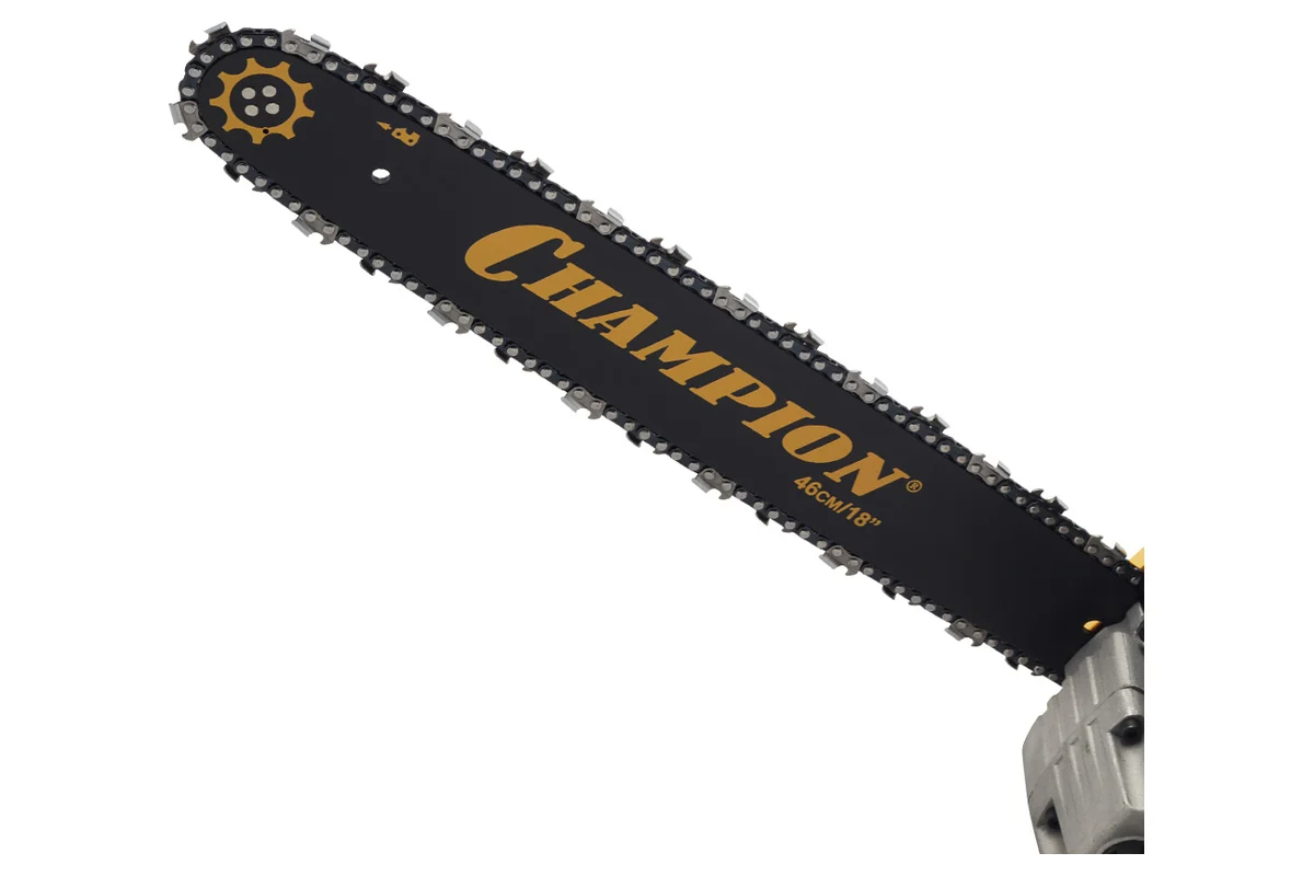 champion-251-shina-46cm-18-dyuymov.jpg