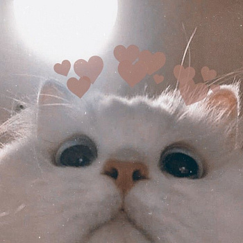 Цепь 0,325-1,5 64 звена BRAIT футляр