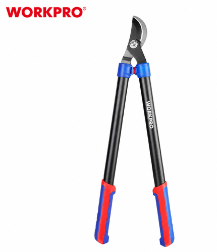 WP332019