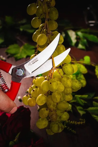 sekator-ploskostonoi-obrigado-200mm-celno-kovannyi-ruchka