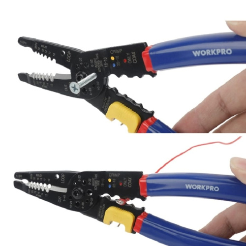 WP291009-2